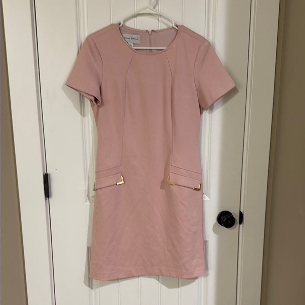 Donna Morgan Chic Pink shift Dress